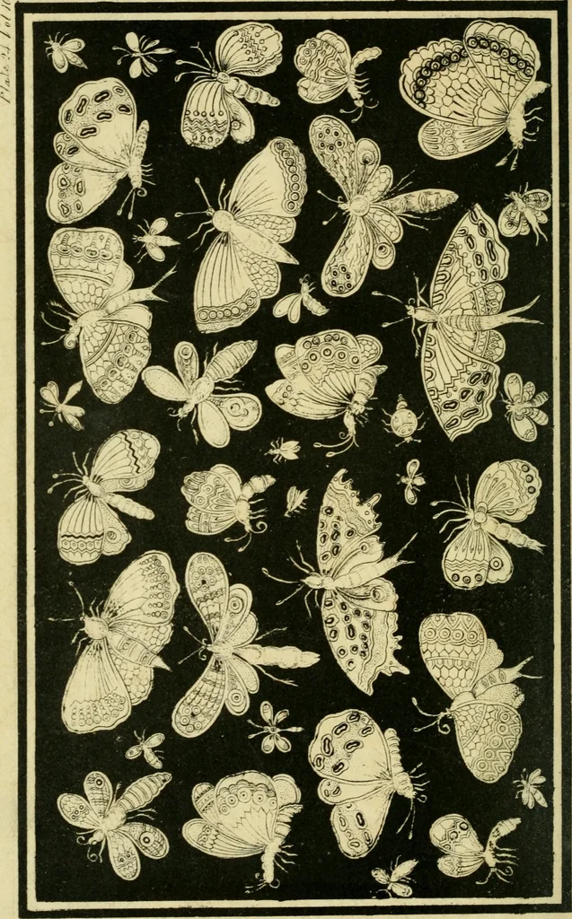 An illustration from The Repository of arts, literature, commerce, manufactures, fashions and politics, 1809, leaf 463