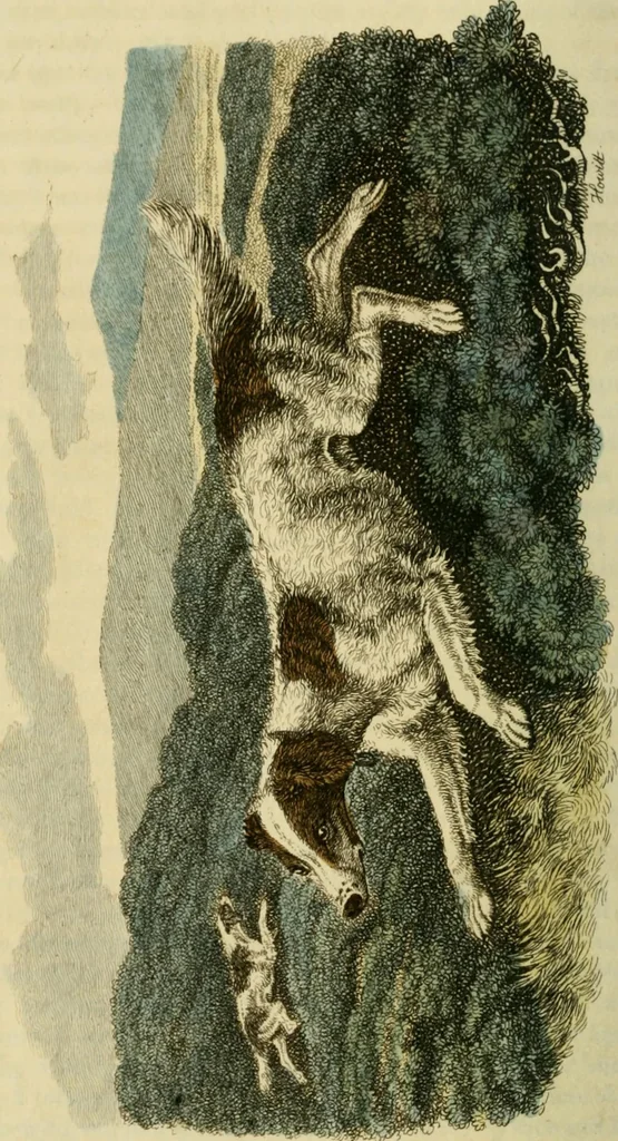 An illustration from The Repository of arts, literature, commerce, manufactures, fashions and politics, 1809, leaf 195