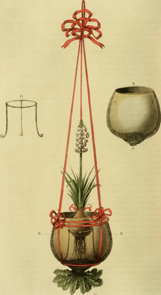 An illustration from The Repository of arts, literature, commerce, manufactures, fashions and politics, 1809, leaf 285