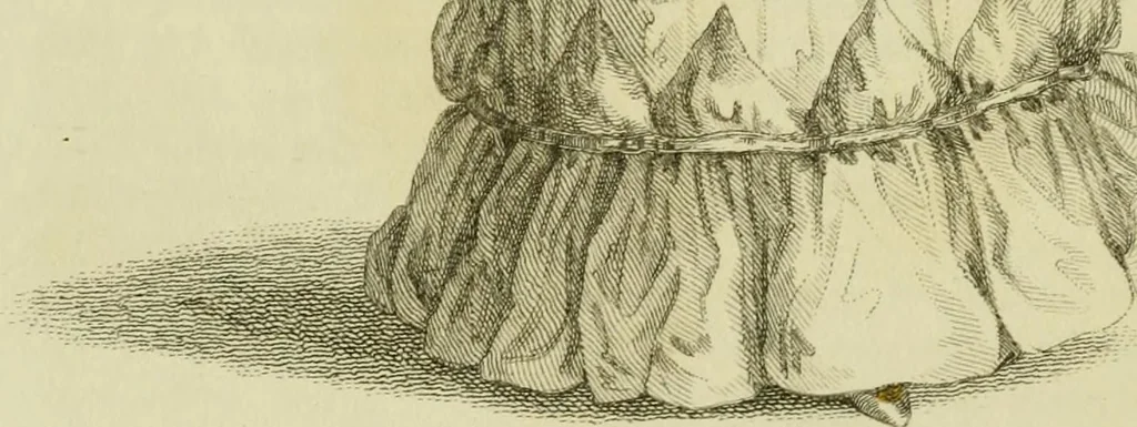 An illustration from The Repository of arts, literature, commerce, manufactures, fashions and politics, 1809, leaf 225