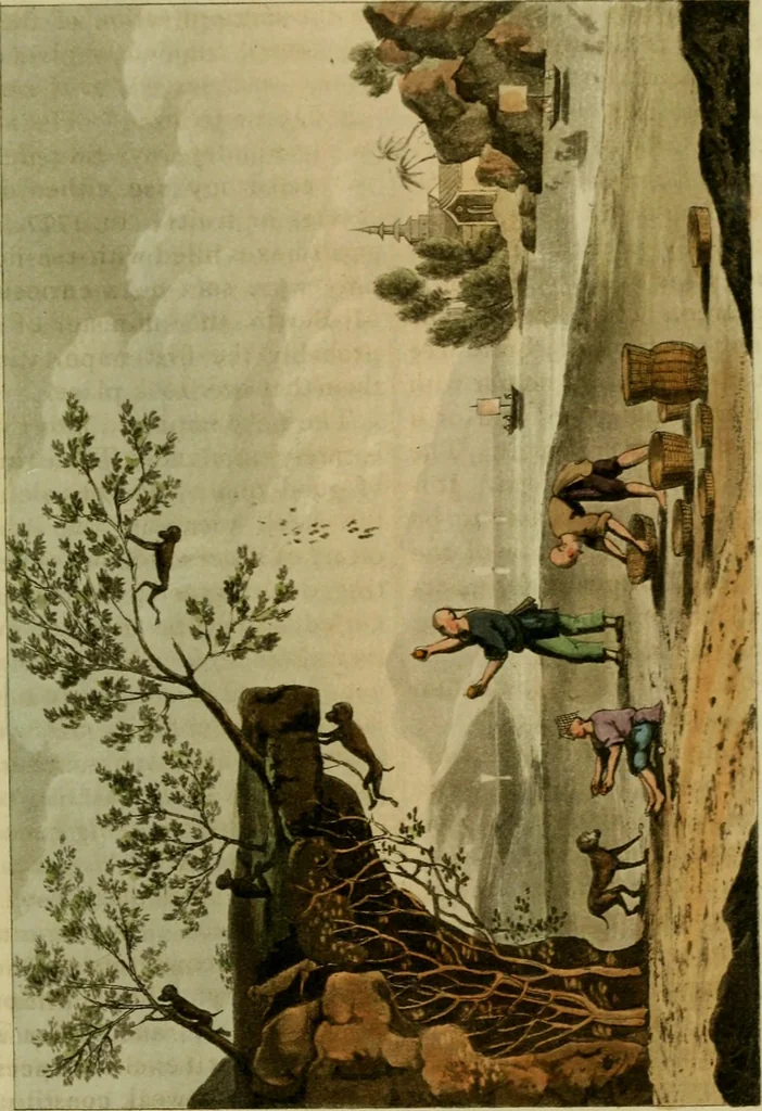 An illustration from The Repository of arts, literature, commerce, manufactures, fashions and politics, 1809, leaf 100