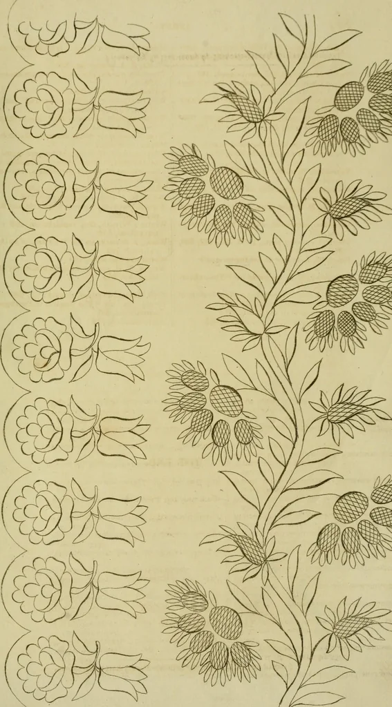 An illustration from The Repository of arts, literature, commerce, manufactures, fashions and politics, 1809, leaf 462
