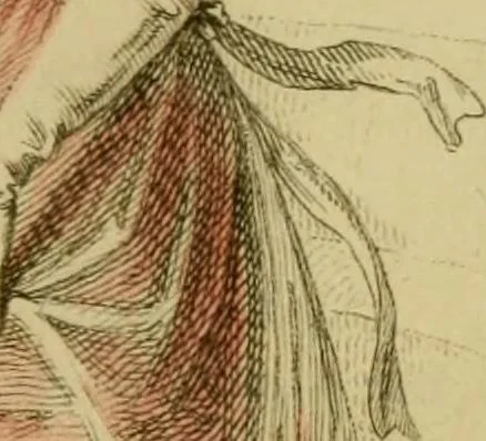 An illustration from The Repository of arts, literature, commerce, manufactures, fashions and politics, 1809, leaf 72