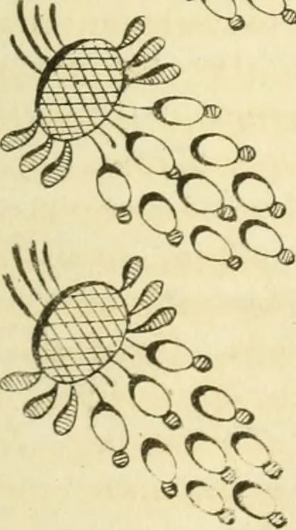 An illustration from The Repository of arts, literature, commerce, manufactures, fashions and politics, 1809, leaf 82