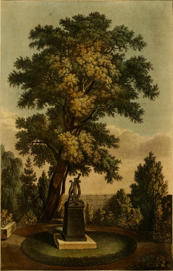 An illustration from The Repository of arts, literature, commerce, manufactures, fashions and politics, 1809, leaf 191