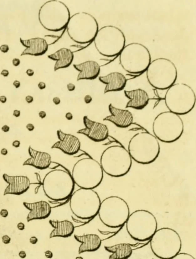 An illustration from The Repository of arts, literature, commerce, manufactures, fashions and politics, 1809, leaf 310