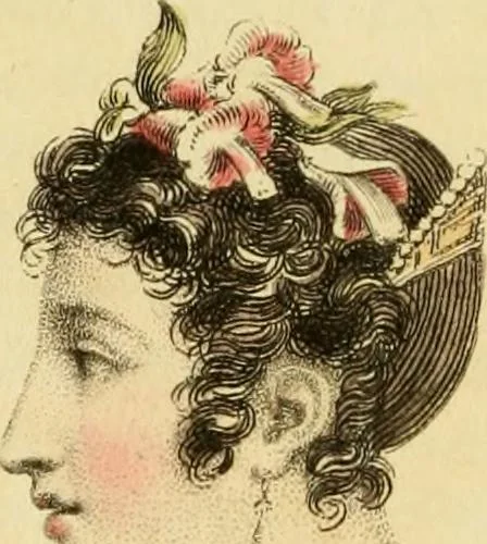 An illustration from The Repository of arts, literature, commerce, manufactures, fashions and politics, 1809, leaf 377