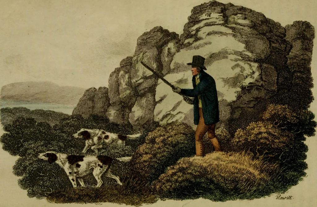 An illustration from The Repository of arts, literature, commerce, manufactures, fashions and politics, 1809, leaf 135