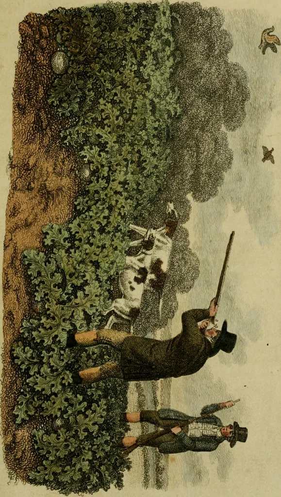 An illustration from The Repository of arts, literature, commerce, manufactures, fashions and politics, 1809, leaf 218