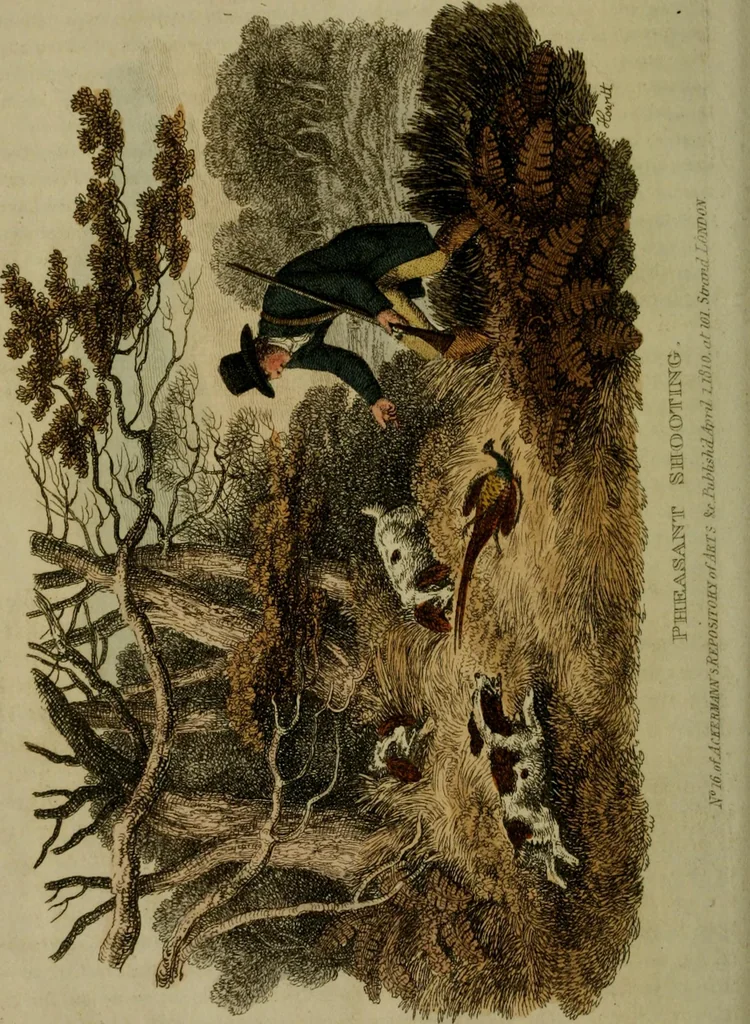 An illustration from The Repository of arts, literature, commerce, manufactures, fashions and politics, 1809, leaf 303