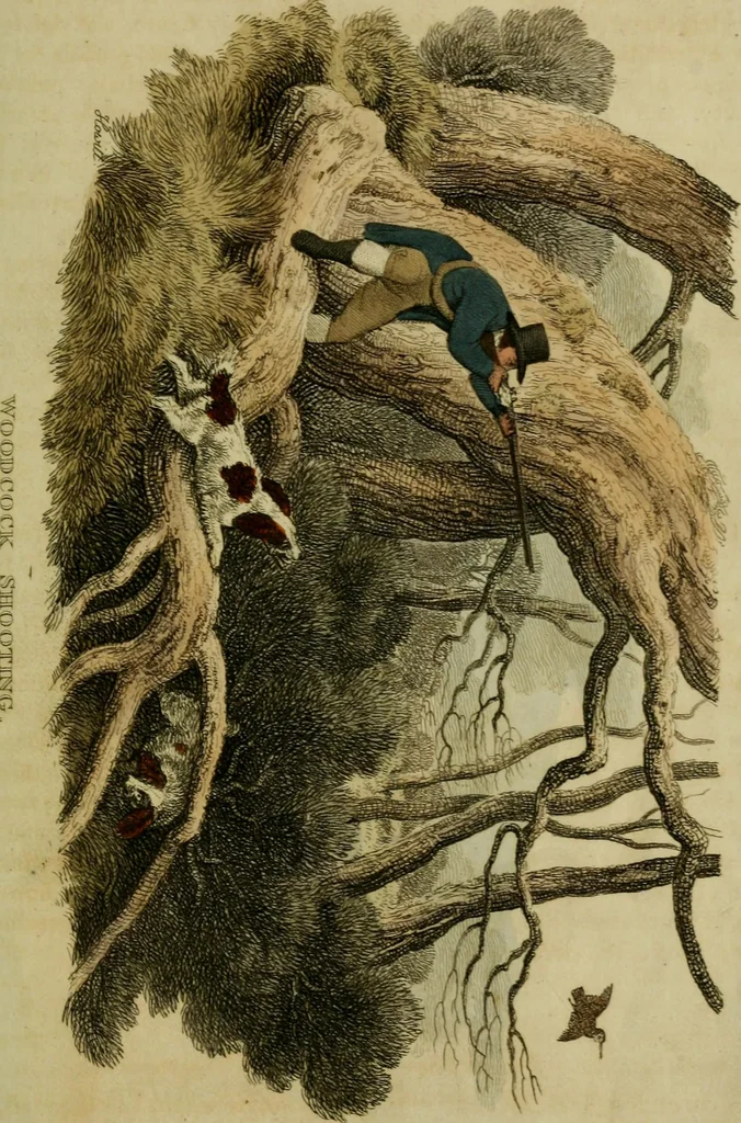 An illustration from The Repository of arts, literature, commerce, manufactures, fashions and politics, 1809, leaf 400