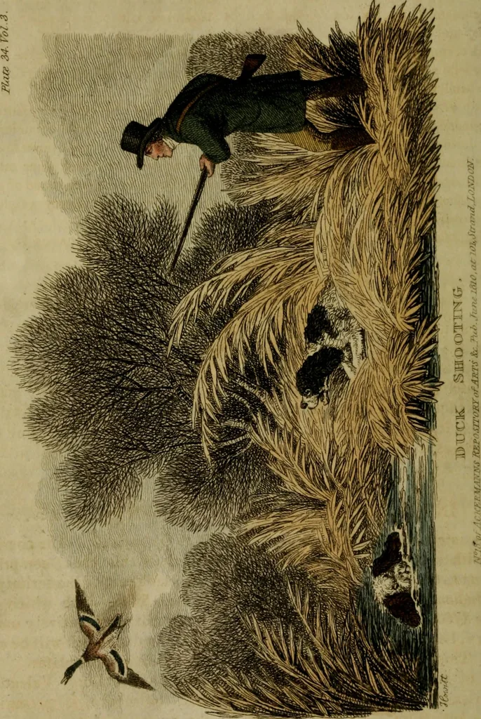 An illustration from The Repository of arts, literature, commerce, manufactures, fashions and politics, 1809, leaf 465