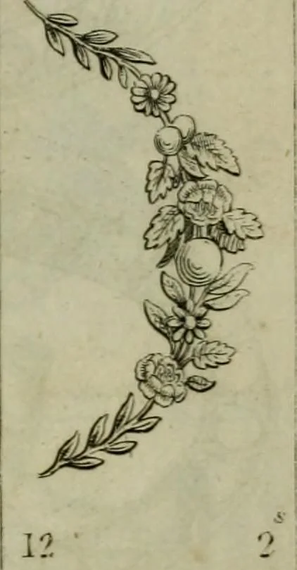 An illustration from The Repository of arts, literature, commerce, manufactures, fashions and politics, 1809, leaf 496