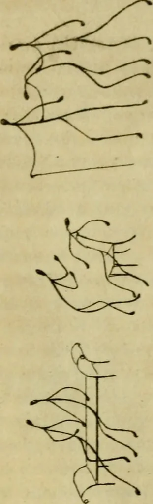 An illustration from The Repository of arts, literature, commerce, manufactures, fashions and politics, 1809, leaf 118