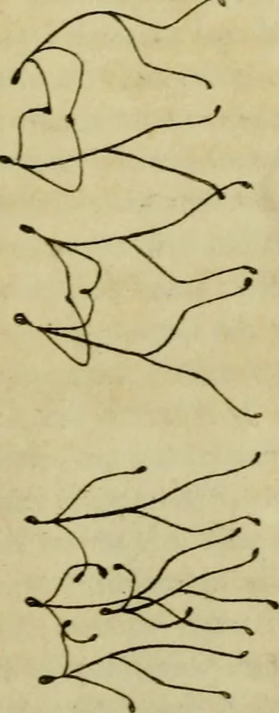 An illustration from The Repository of arts, literature, commerce, manufactures, fashions and politics, 1809, leaf 118