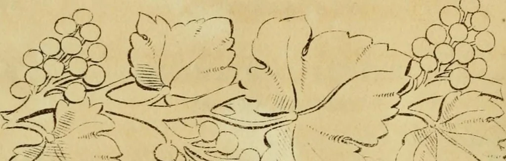An illustration from The Repository of arts, literature, commerce, manufactures, fashions and politics, 1809, leaf 357