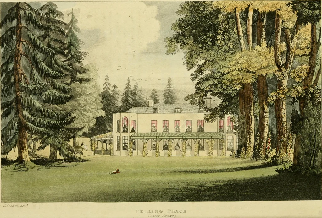 An illustration from The Repository of arts, literature, commerce, manufactures, fashions and politics, 1809, leaf 85