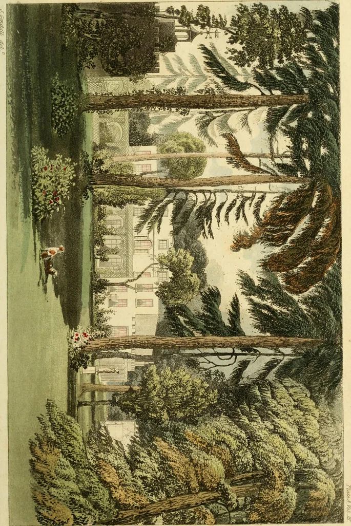 An illustration from The Repository of arts, literature, commerce, manufactures, fashions and politics, 1809, leaf 88