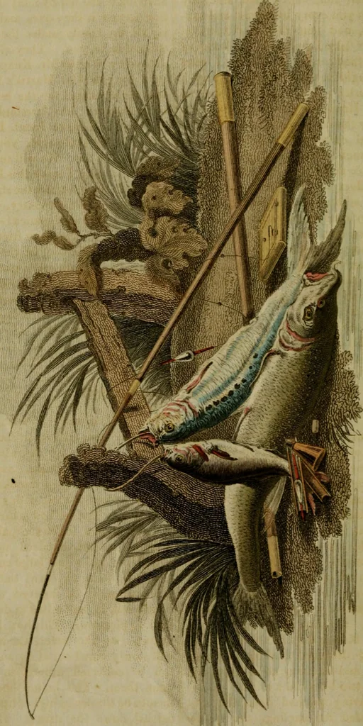An illustration from The Repository of arts, literature, commerce, manufactures, fashions and politics, 1809, leaf 283