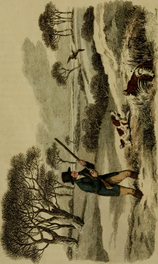 An illustration from The Repository of arts, literature, commerce, manufactures, fashions and politics, 1809, leaf 33