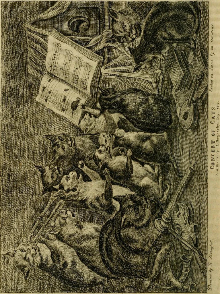 An illustration from The Repository of arts, literature, commerce, manufactures, fashions and politics, 1809, leaf 55