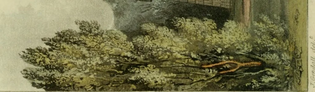 An illustration from The Repository of arts, literature, commerce, manufactures, fashions and politics, 1809, leaf 17
