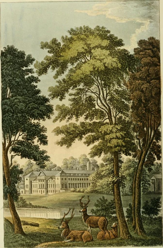 An illustration from The Repository of arts, literature, commerce, manufactures, fashions and politics, 1809, leaf 311