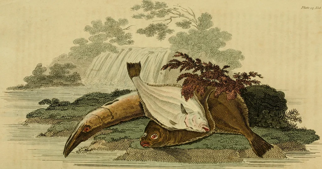 An illustration from The Repository of arts, literature, commerce, manufactures, fashions and politics, 1809, leaf 201
