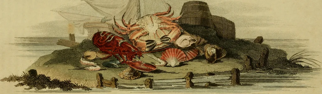 An illustration from The Repository of arts, literature, commerce, manufactures, fashions and politics, 1809, leaf 438