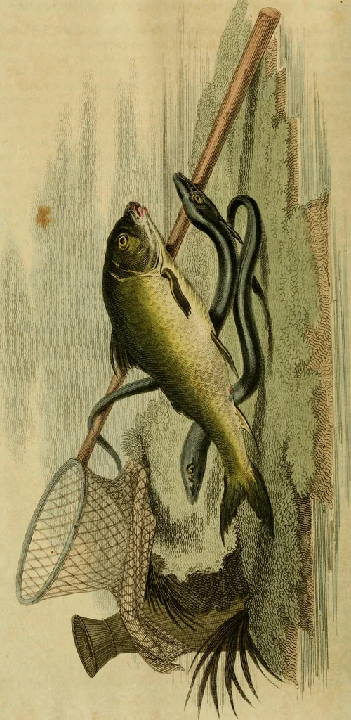 An illustration from The Repository of arts, literature, commerce, manufactures, fashions and politics, 1809, leaf 51