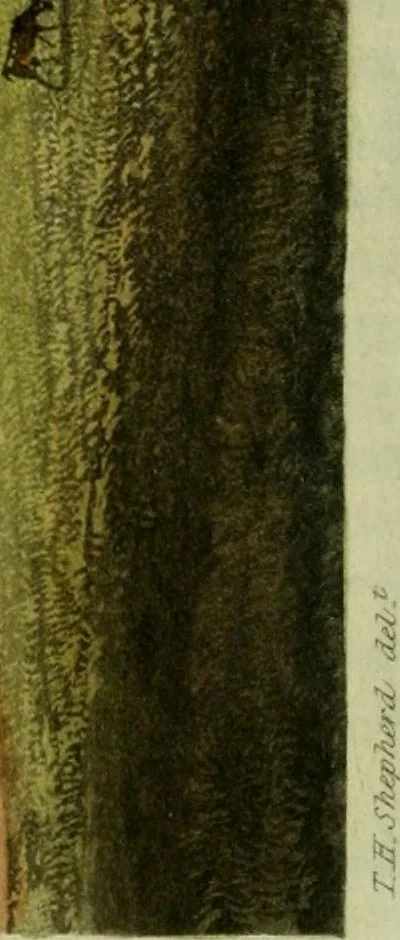 An illustration from The Repository of arts, literature, commerce, manufactures, fashions and politics, 1809, leaf 167