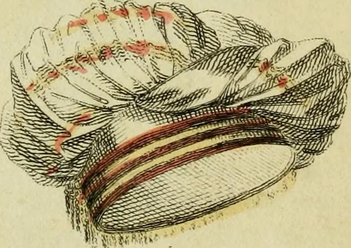 An illustration from The Repository of arts, literature, commerce, manufactures, fashions and politics, 1809, leaf 71