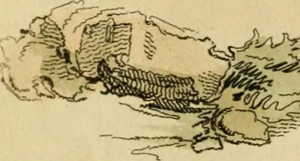 An illustration from The Repository of arts, literature, commerce, manufactures, fashions and politics, 1809, leaf 143