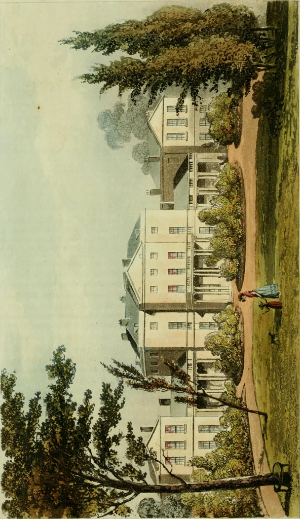 An illustration from The Repository of arts, literature, commerce, manufactures, fashions and politics, 1809, leaf 85
