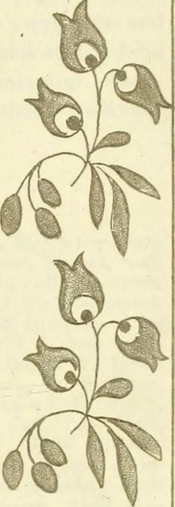 An illustration from The Repository of arts, literature, commerce, manufactures, fashions and politics, 1809, leaf 398
