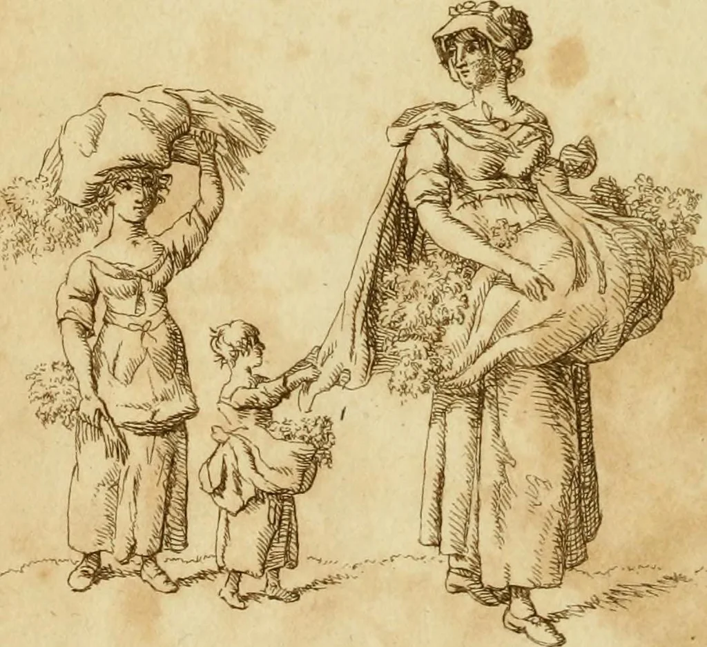 An illustration from The Repository of arts, literature, commerce, manufactures, fashions and politics, 1809, leaf 311