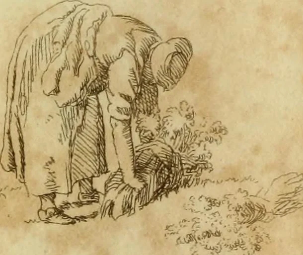 An illustration from The Repository of arts, literature, commerce, manufactures, fashions and politics, 1809, leaf 311