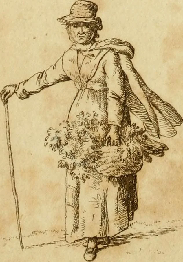 An illustration from The Repository of arts, literature, commerce, manufactures, fashions and politics, 1809, leaf 311