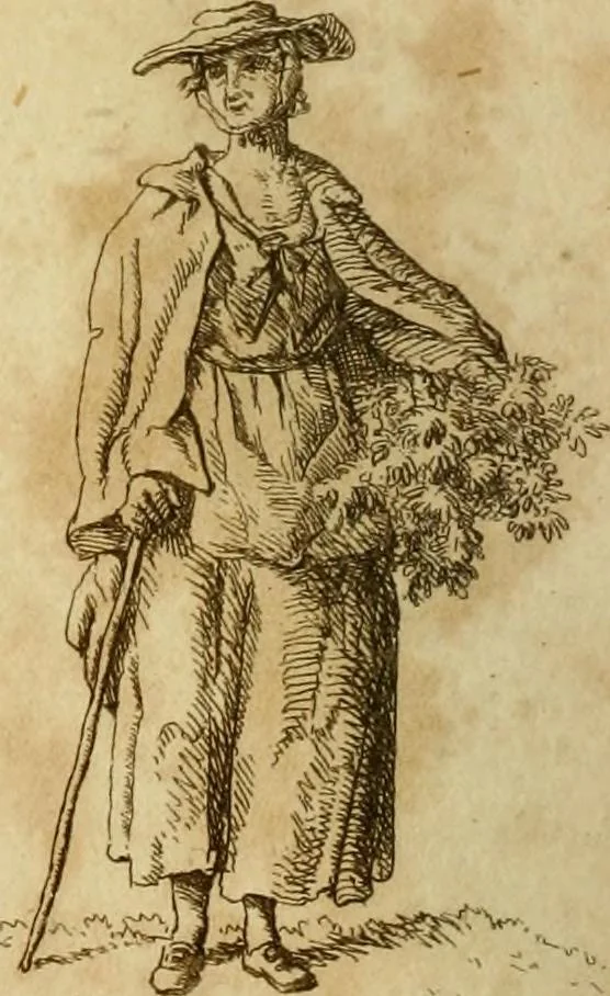An illustration from The Repository of arts, literature, commerce, manufactures, fashions and politics, 1809, leaf 311