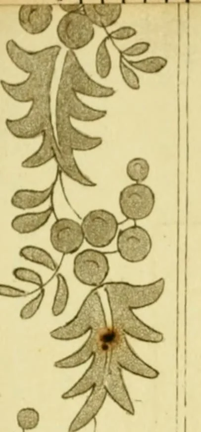 An illustration from The Repository of arts, literature, commerce, manufactures, fashions and politics, 1809, leaf 314