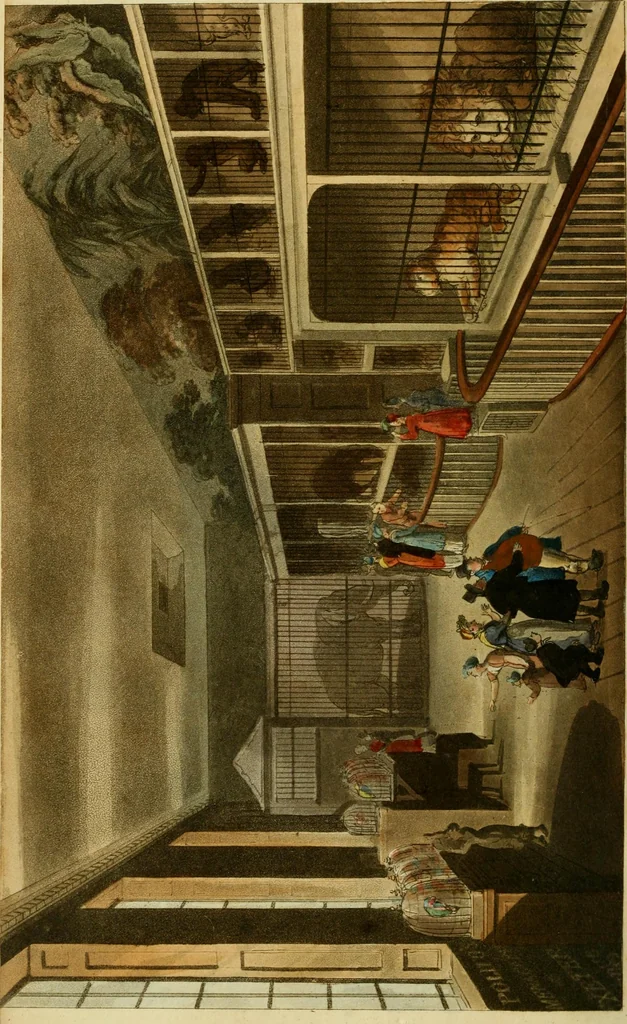 An illustration from The Repository of arts, literature, commerce, manufactures, fashions and politics, 1809, leaf 39
