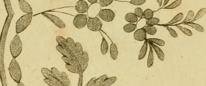 An illustration from The Repository of arts, literature, commerce, manufactures, fashions and politics, 1809, leaf 391