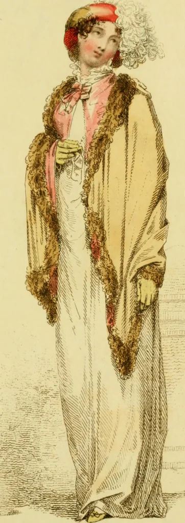 An illustration from The Repository of arts, literature, commerce, manufactures, fashions and politics, 1809, leaf 456