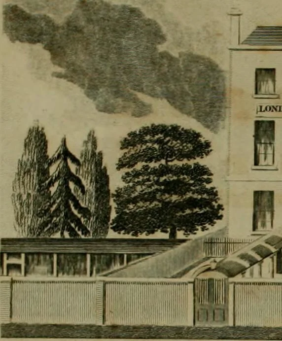 An illustration from The Repository of arts, literature, commerce, manufactures, fashions and politics, 1809, leaf 77