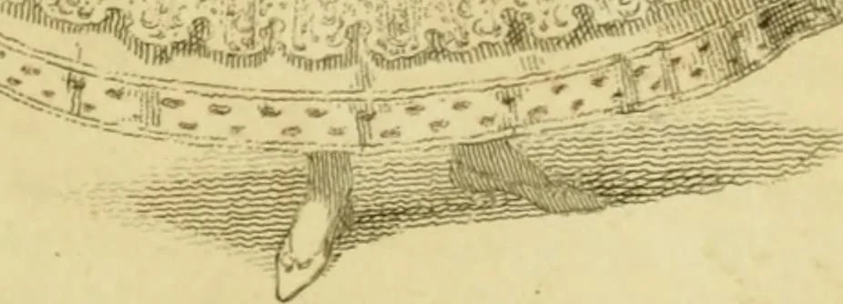 An illustration from The Repository of arts, literature, commerce, manufactures, fashions and politics, 1809, leaf 62