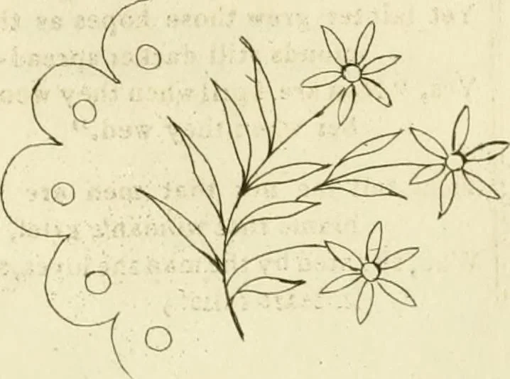 An illustration from The Repository of arts, literature, commerce, manufactures, fashions and politics, 1809, leaf 157