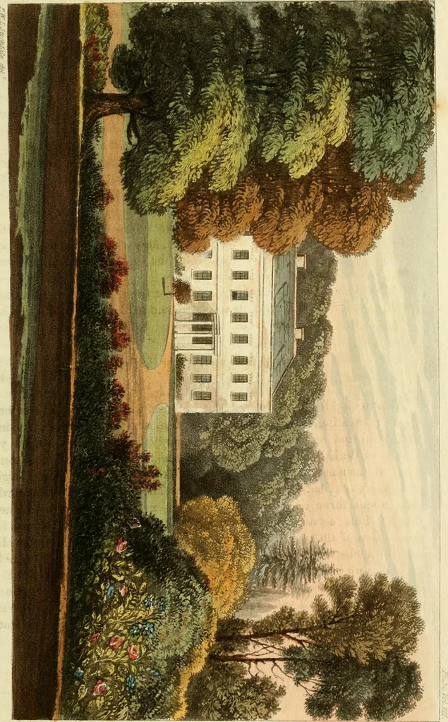 An illustration from The Repository of arts, literature, commerce, manufactures, fashions and politics, 1809, leaf 394