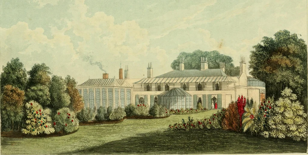 An illustration from The Repository of arts, literature, commerce, manufactures, fashions and politics, 1809, leaf 91