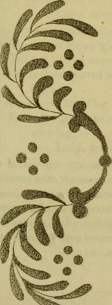 An illustration from The Repository of arts, literature, commerce, manufactures, fashions and politics, 1809, leaf 240