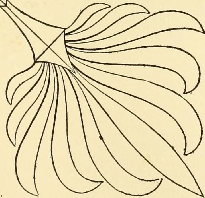 An illustration from A reprint of The country builder's assistant, The American builder's companion, The rudiments of architecture, The practical house carpenter, Practice of architecture, 1917, leaf 160